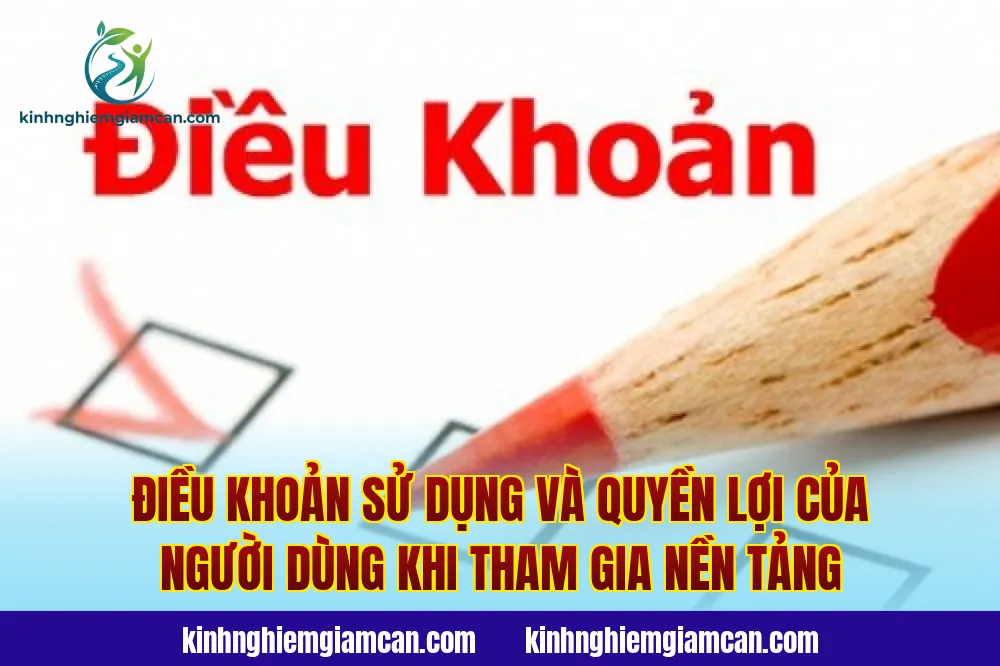 Điều khoản sử dụng và quyền lợi của người dùng khi tham gia nền tảng