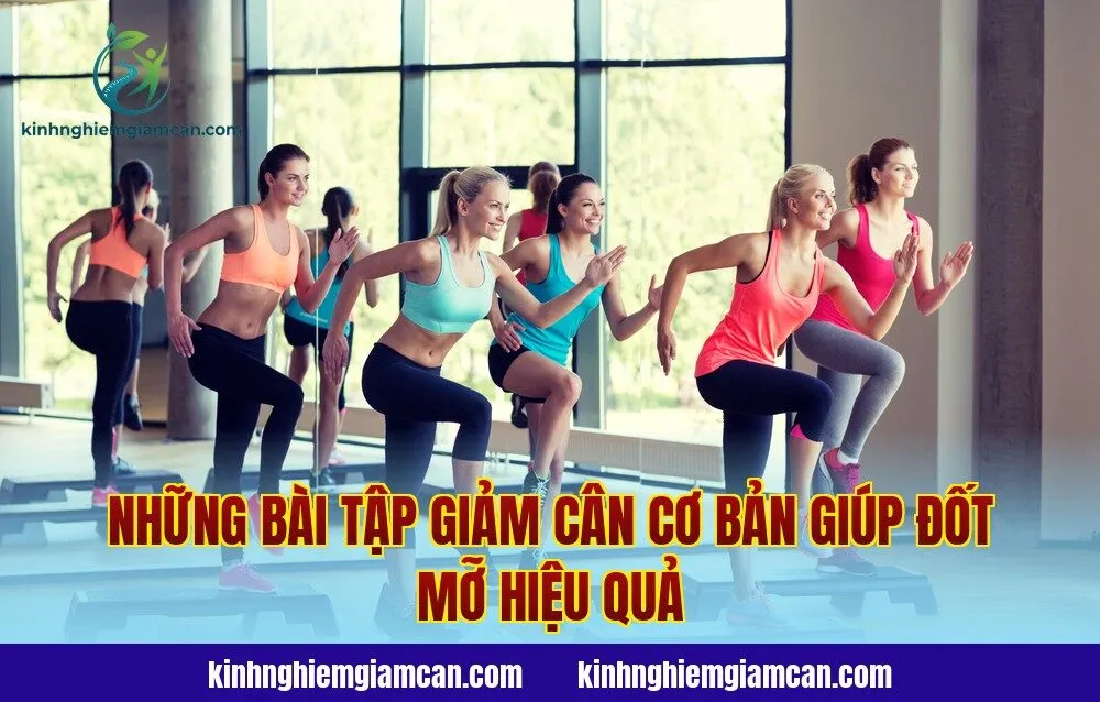 Những bài tập giảm cân cơ bản giúp đốt mỡ hiệu quả