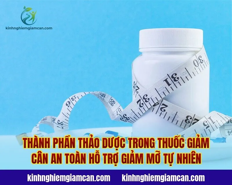 Thành phần thảo dược trong thuốc giảm cân an toàn hỗ trợ giảm mỡ tự nhiên