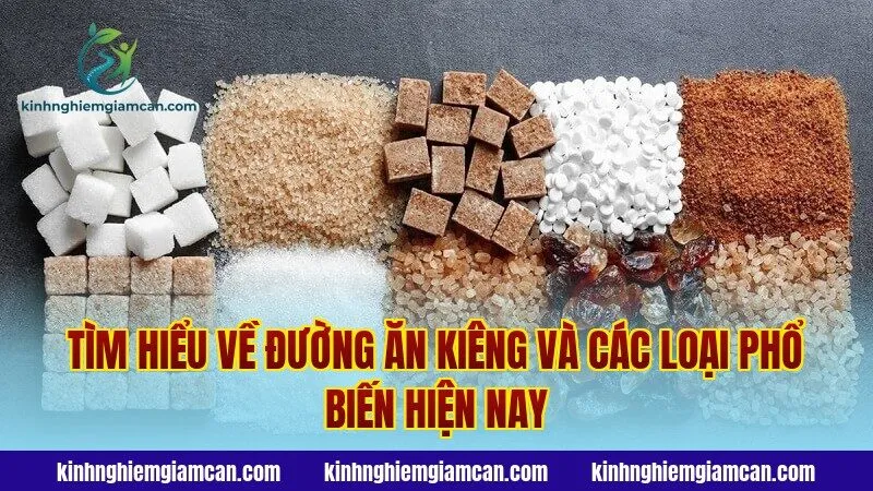 Tìm hiểu về đường ăn kiêng và các loại phổ biến hiện nay