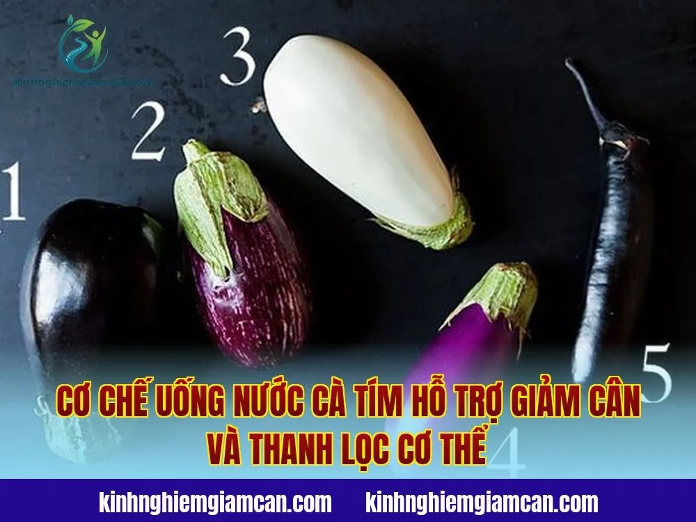 Cơ chế uống nước cà tím hỗ trợ giảm cân và thanh lọc cơ thể
