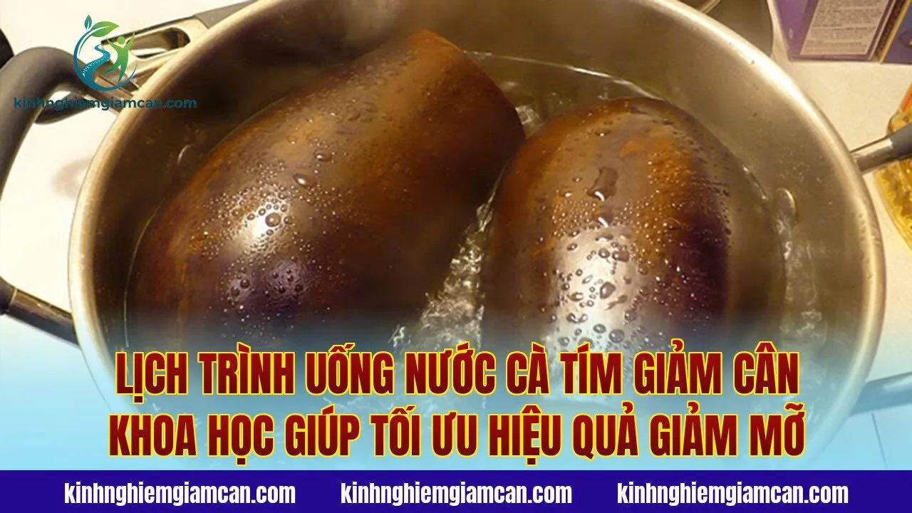 Lịch trình uống nước cà tím giảm cân khoa học giúp tối ưu hiệu quả giảm mỡ