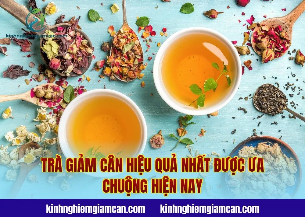Trà Giảm Cân Hiệu Quả Nhất Được Ưa Chuộng Hiện Nay