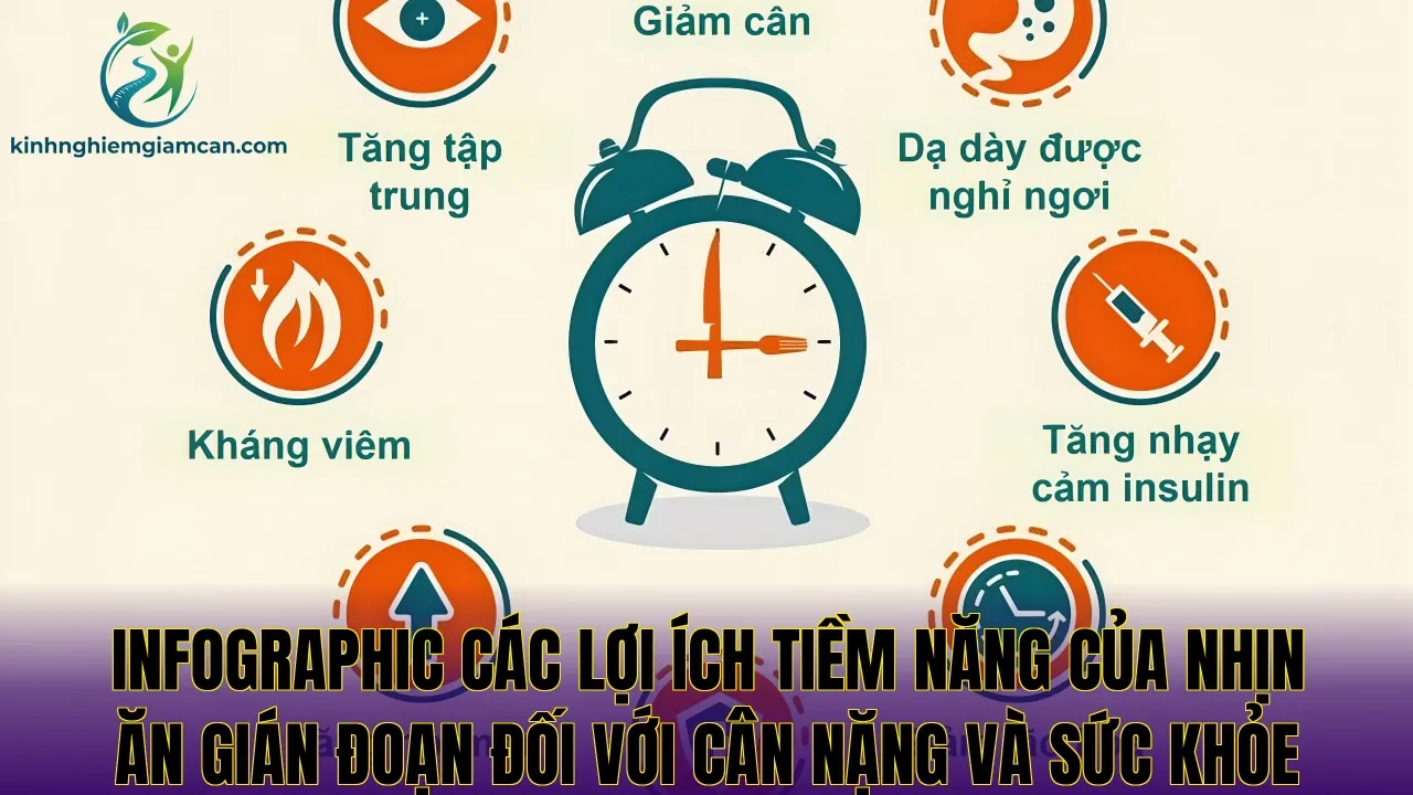 Infographic các lợi ích tiềm năng của nhịn ăn gián đoạn đối với cân nặng và sức khỏe