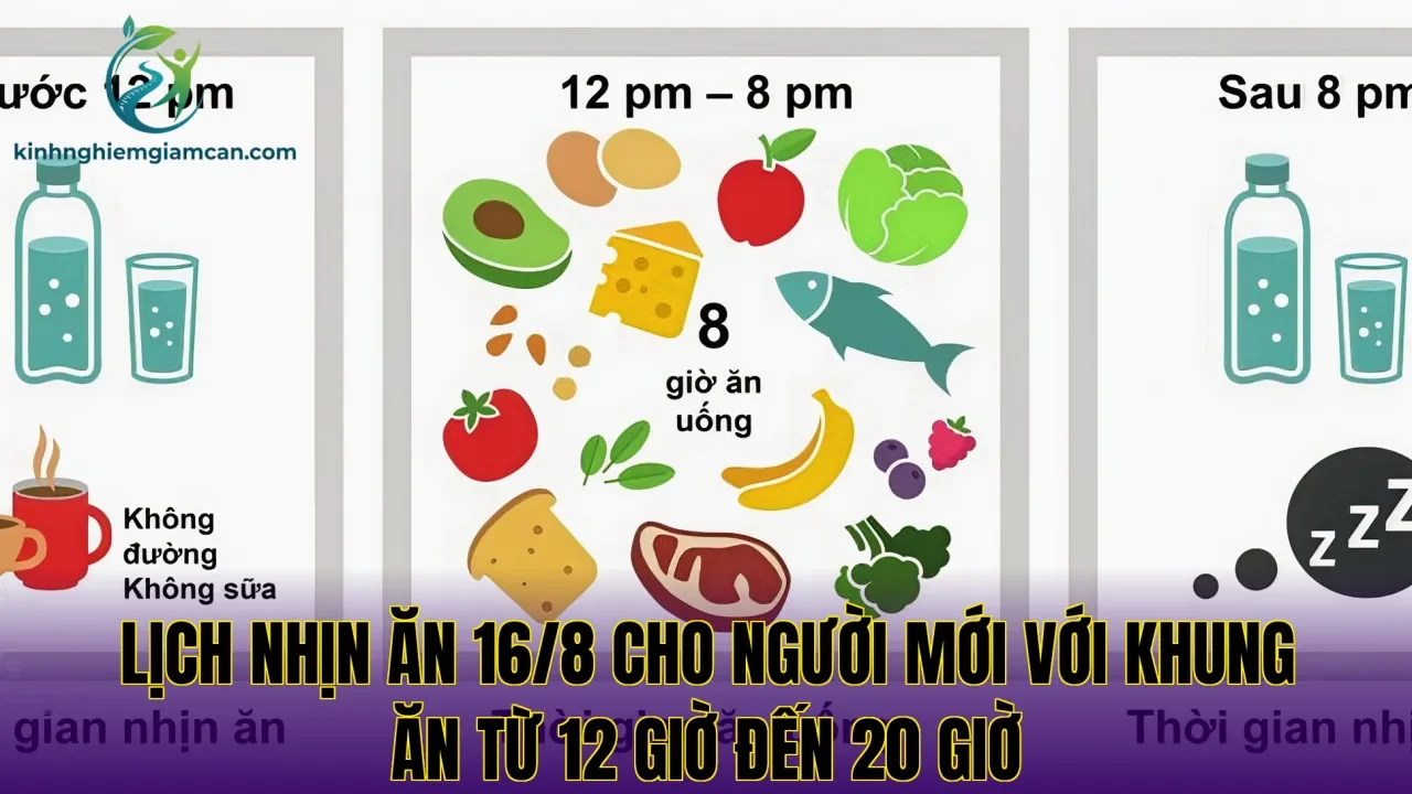 Lịch nhịn ăn 16/8 cho người mới với khung ăn từ 12 giờ đến 20 giờ