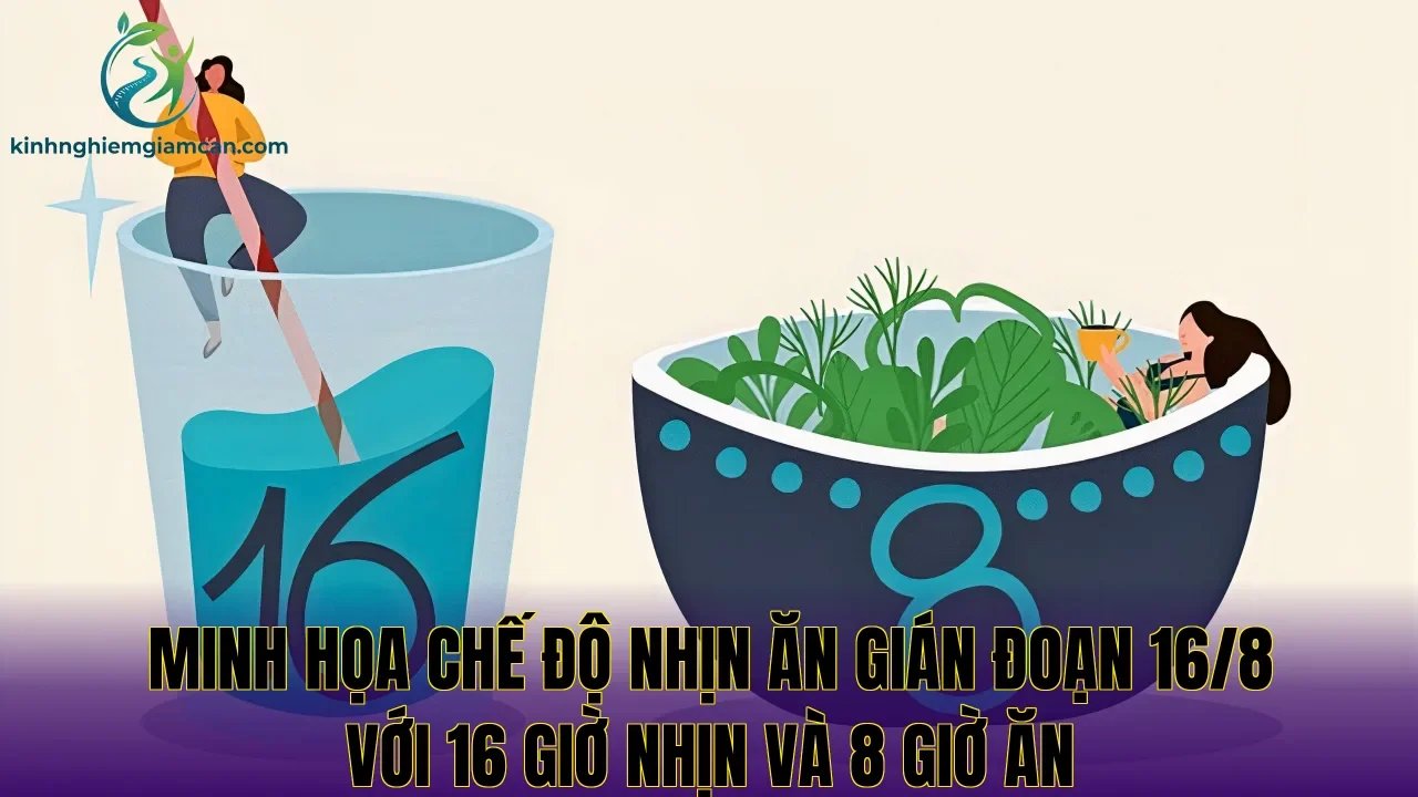 Minh họa chế độ nhịn ăn gián đoạn 16/8 với 16 giờ nhịn và 8 giờ ăn